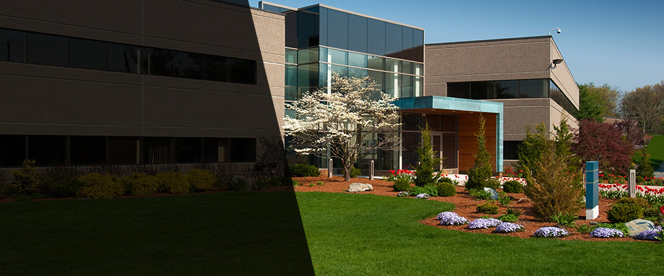 Port Charlotte Landscapers