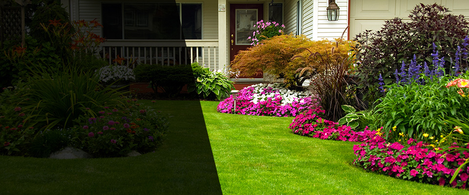 Port Charlotte Landscapers
