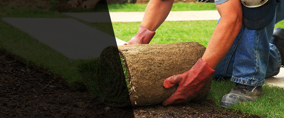 Port Charlotte Landscapers